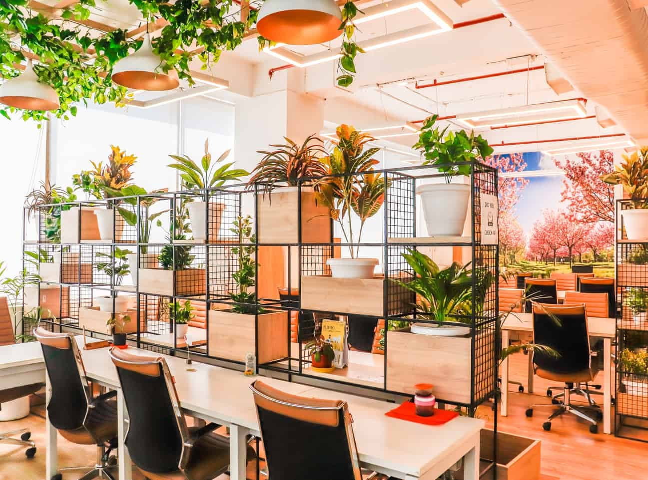 Modern co-working space